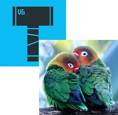 Vector and bitmap pictures rendered with ThorVG